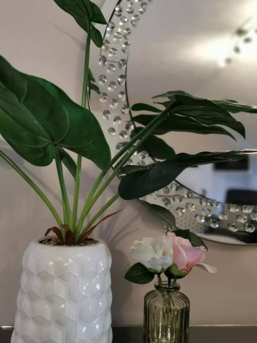 B'Dazzled Flat, Castletown Apartment Thurso Bagian luar foto
